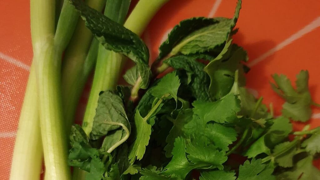 Mint and Spring onions for Larb