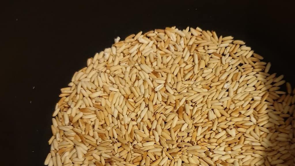 Toasted rice for larb