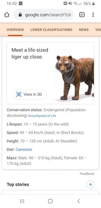 Google Animals - Tiger