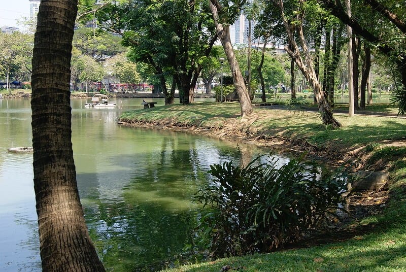 Park in Bangkok